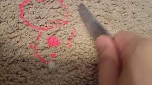 how to get playdough out of the carpet