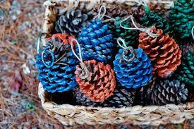 How To Make Diy Pine Cone Fire Starters
