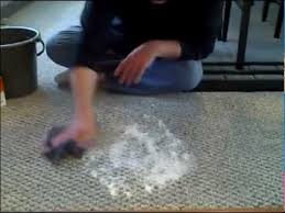 how to clean dog from your carpet