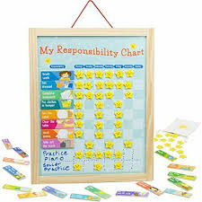 My Responsibility Chart Magnetic Dry Erase Wooden Chore W Storage Bag 24 Goals