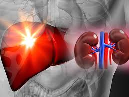 unexplained kidney and liver problems