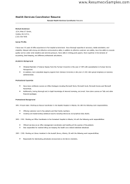 Clever Design Professional Resume Writing   Online Services     