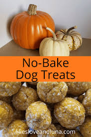 peanut er and pumpkin dog treats