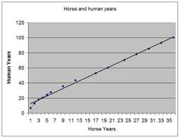 Equine Information