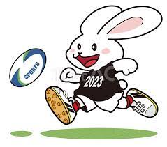 free vectors rabbit zodiac rugby