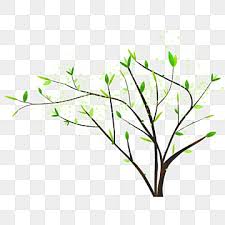summer tree png transpa images free