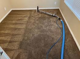 brian s cleaning carpet cleaners