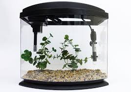 small aquarium heaters for tiny tanks