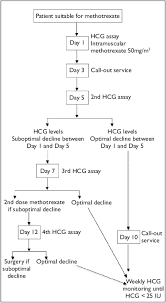 Flow Chart Shows Methotrexate For Ectopic Pregnancy Workflow