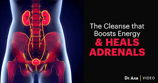 kidney cleanse t protocol dr axe