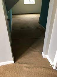 bellevue carpet stretching services in