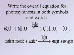 Overall Equation For Photosynthesis