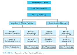 Role Of The Medical Director Pdf