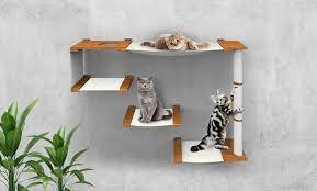 Cat Wall Shelf Set Groupon