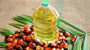 India's palm oil imports fall 29% in December 2021: SEA