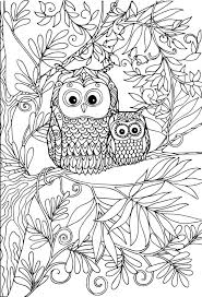 free owl coloring pages for