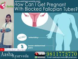 How to get pregnant fast with one fallopian tube. How Can I Get Pregnant With Blocked Fallopian Tubes Aasha Ayurveda