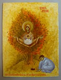 Αποτέλεσμα εικόνας για MAICA DOMNULUI RUGUL APRINS