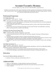 The summary is complimented by a introductory paragraph on the top right that underscores their experience and expertise in sales, marketing and account management. Account Executive Resume Writing Tips Resume Companion