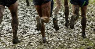 Image result for cross country relay run