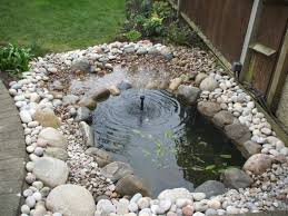 Attracitve Fish Pond In Your Backyard