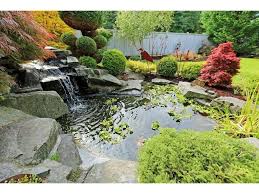 How To Build An Ecosystem Pond And