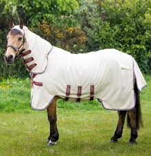 rambo pony hoody fly rugs sheets