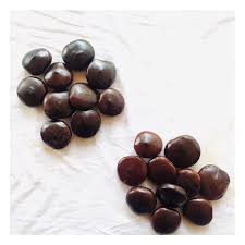 Entada African Dream Bean (Herb) Sea Bean African Rheedii Seeds NEW Free  Seeds2+ | eBay
