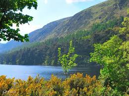 county wicklow and glendalough valley