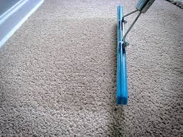 carpet rakes