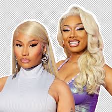 why are megan thee stallion and nicki
