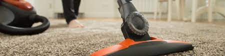 carpet cleaning palm harbor