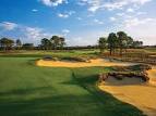 Organic golf course management: Lessons from Vineyard Golf Club ...