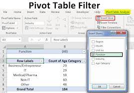 pivot table filter how to filter data
