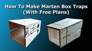 how to make marten box traps with free