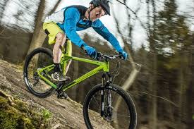 Which Gt Mountain Bike Is Right For You Mbr