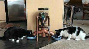 We did not find results for: Automatic Cat Feeder Using The Raspberry Pi Storiknow