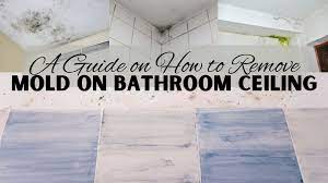 remove mold on bathroom ceiling learn