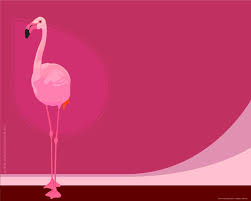 flamingo wallpapers for desktop