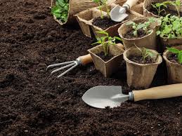Gardening Tools And Plant Seedlings Are