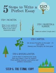 Essay tips for grade   