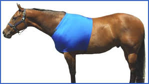 Sleazy Sleepwear For Horses