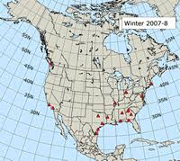 Rufous Hummingbird Migration Comparative Maps