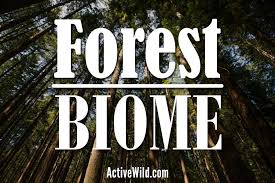 the forest biome facts pictures in