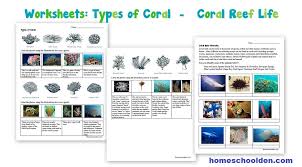 c reef worksheets and interactive