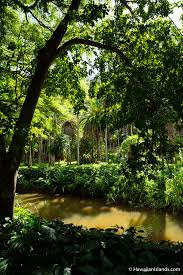 allerton garden in kauai hawaii