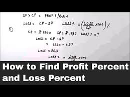 Calculate Profit And Loss Percent