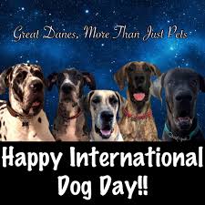 Here's a list of 10 of the. Pin By Deborah Roth On A Blessing From God A Dog International Dog Day Dogs Great Dane