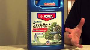 tree fertilizer and insect control