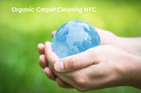 about us carpet cleaning service